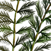 water milfoil illustration