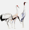 Sktech of Cranes