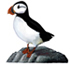 puffin, watercolor