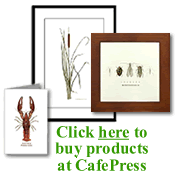art prints, greeting cards, posters, framed art