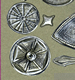 diatoms