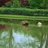 Missouri Botanical Gardens