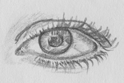 eye