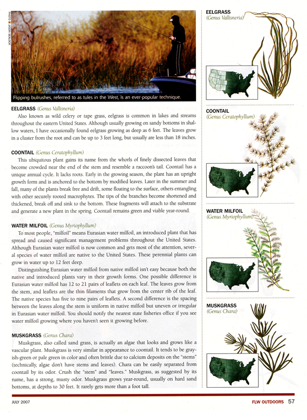FLW Outdoors Magazine
