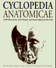 Cyclopedia Anatomicae