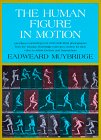 The Human Figure in Motion