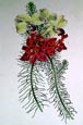 Paxton - Gladiola Red